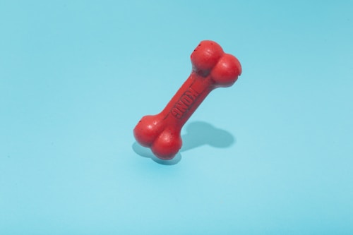 Interactive Puzzle Dog Toy